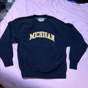 Michigan Steve and Barry’s Crewneck